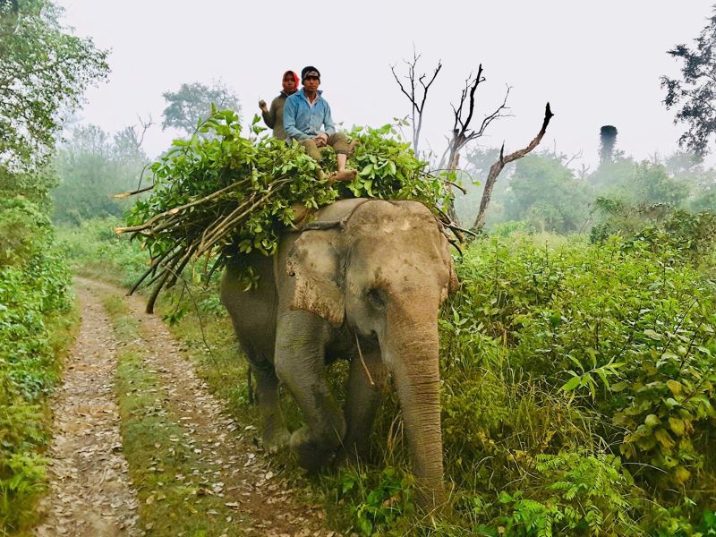 BARDIA NATIONAL PARK – BANDIPUR – LUMBINI