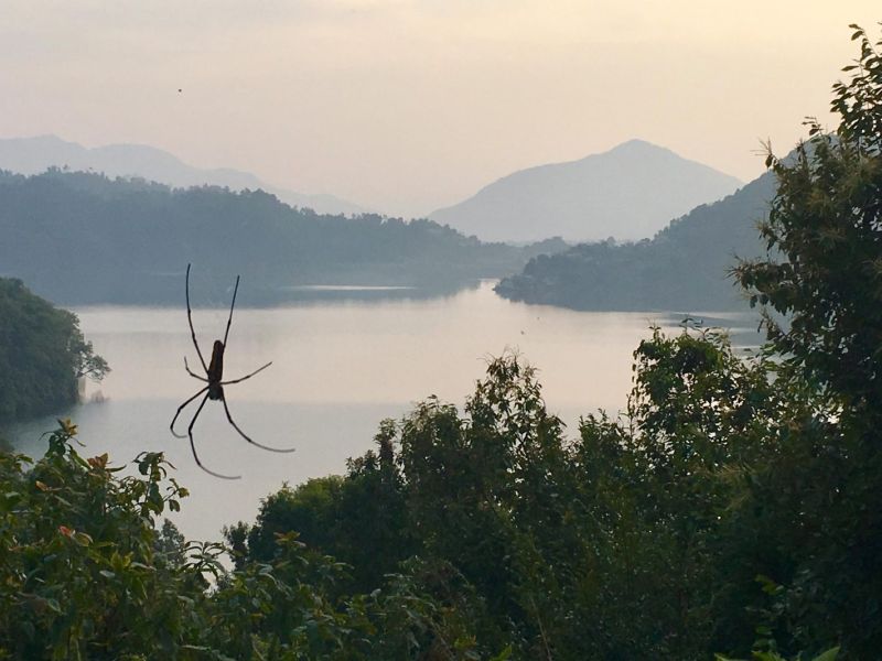 VOLUNTEERING AROUND BEGNAS LAKE