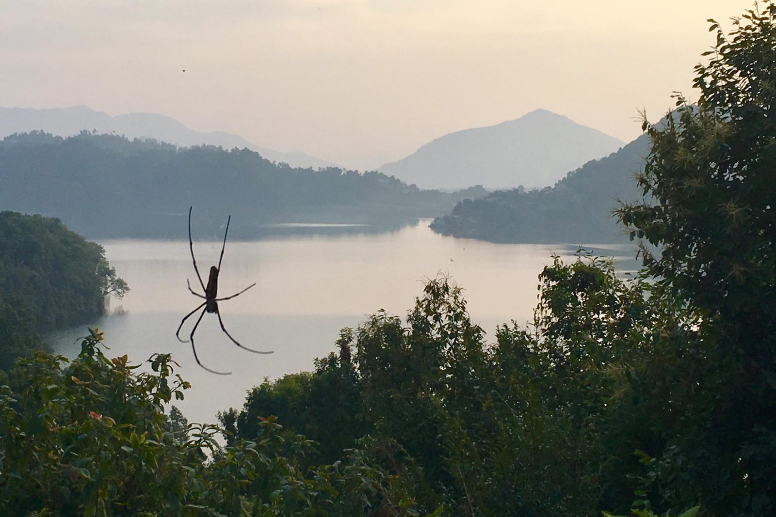 VOLUNTEERING AROUND BEGNAS LAKE